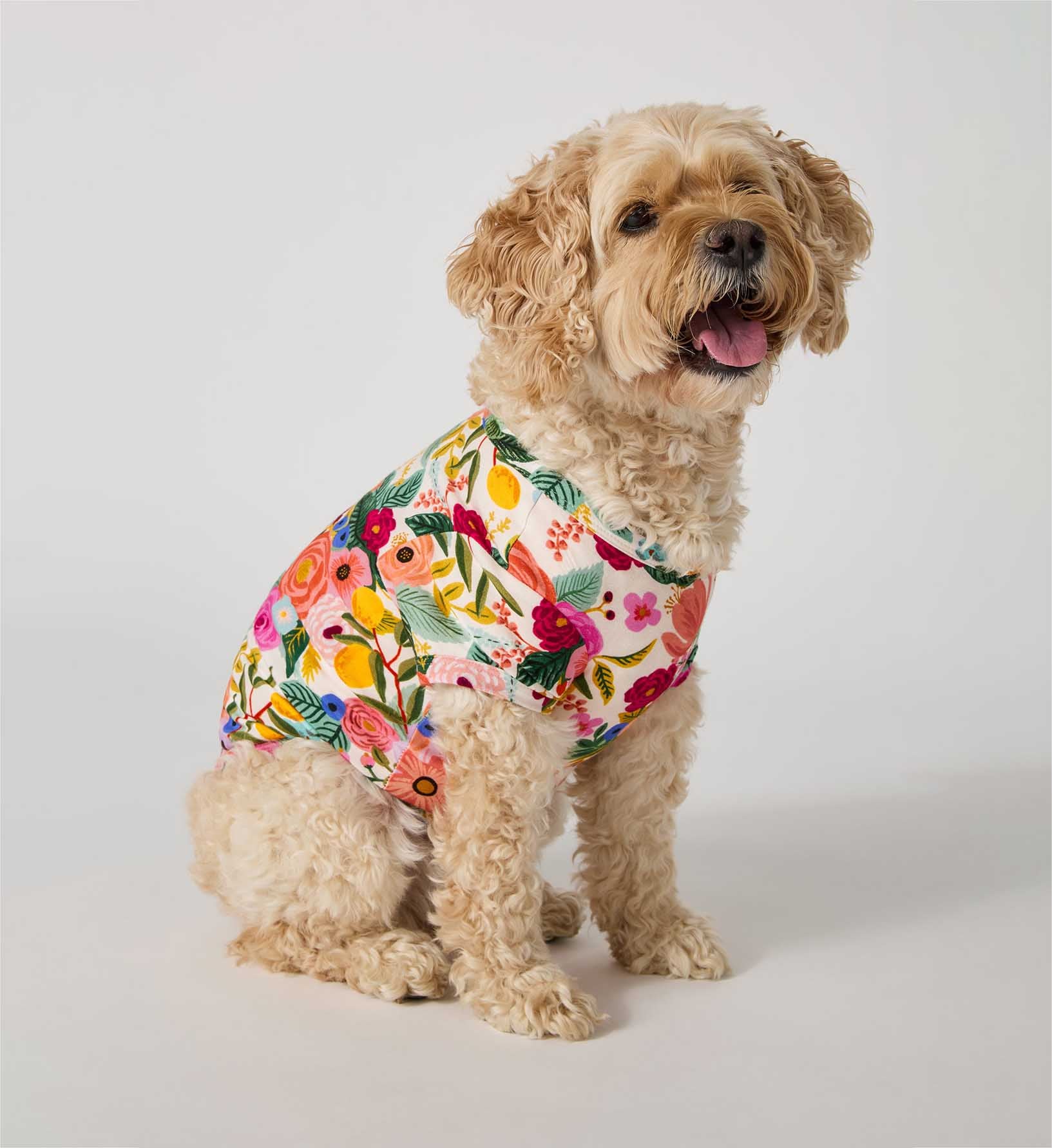 Dog Jersey Pajamas - Garden Party