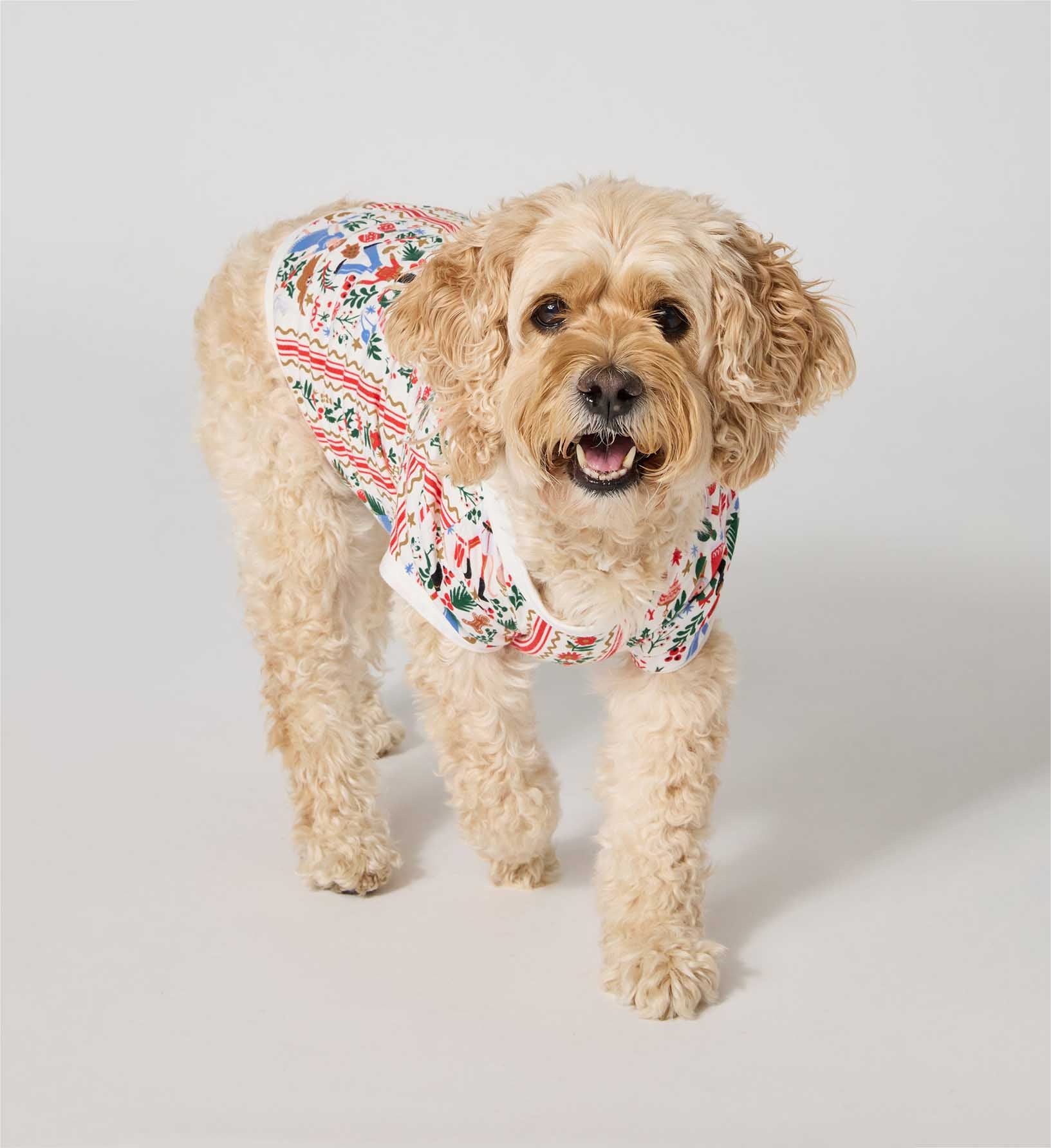 Dog Jersey Pajamas - Holly Jolly Nutcracker