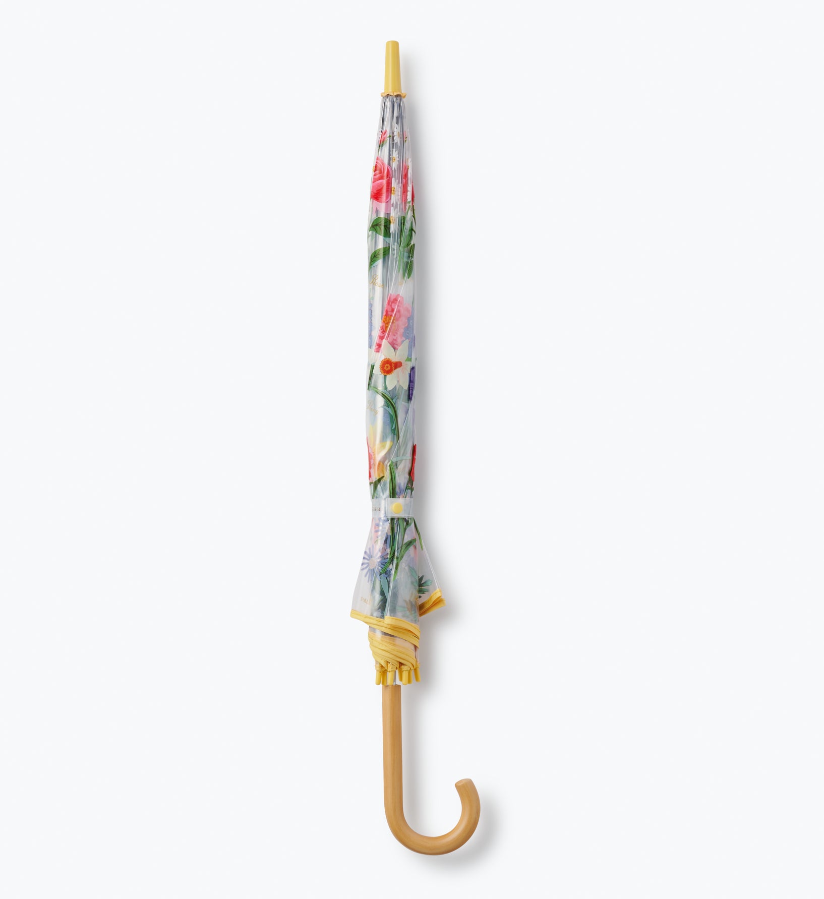 Umbrella - Garden Study