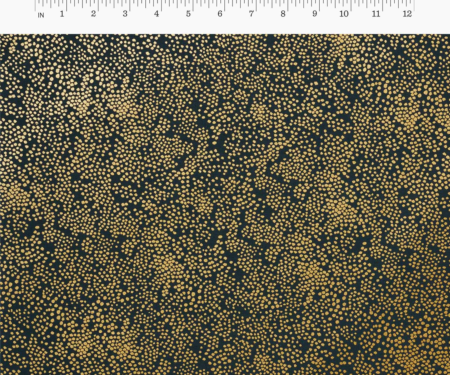  | csc183_02-r.jpg
