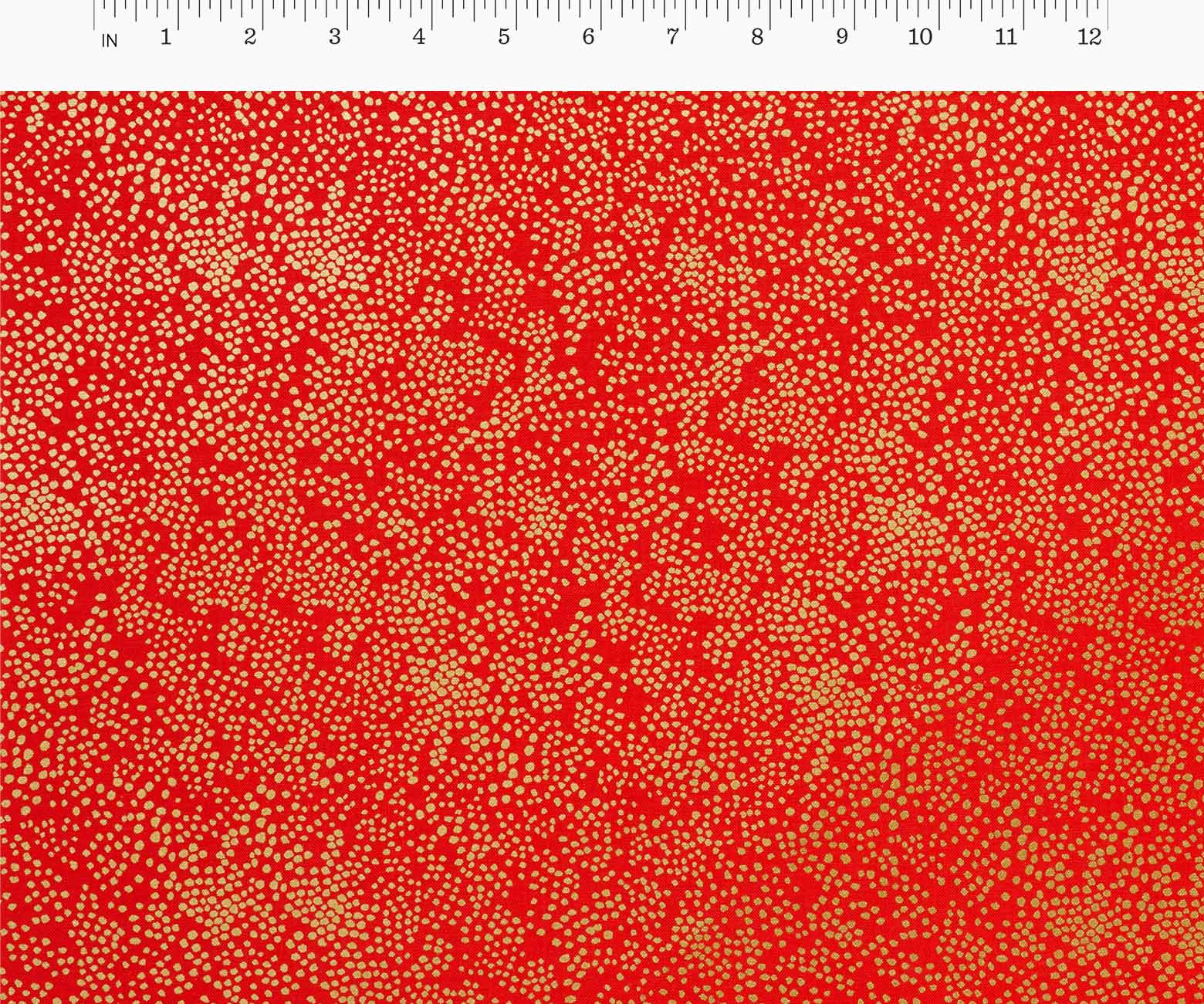  | csc184_02-r_1.jpg