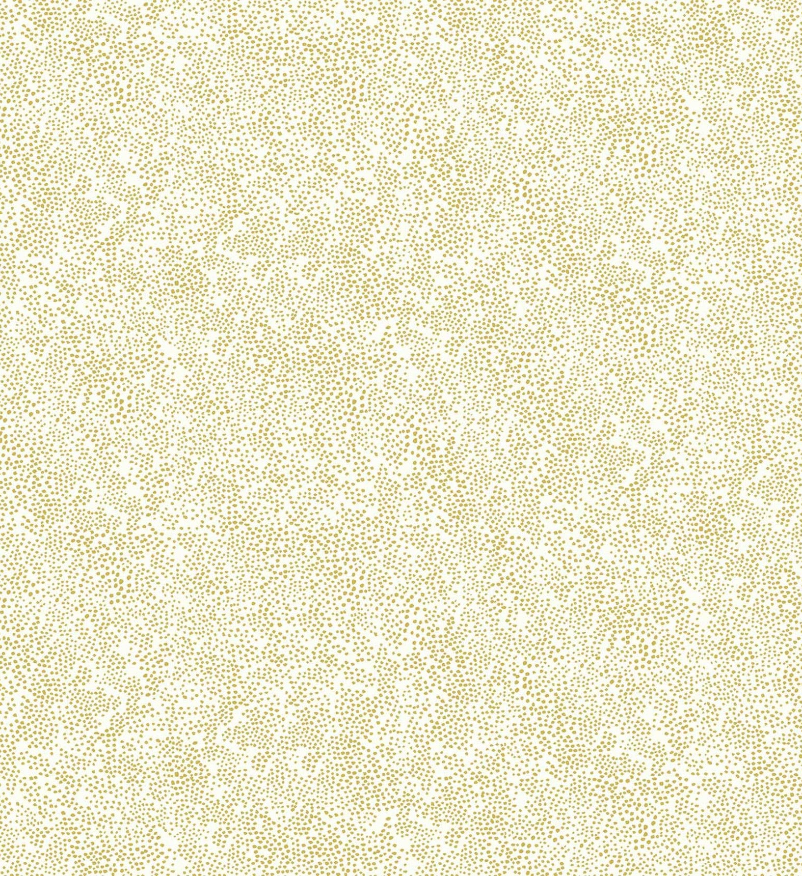  | wal010-02.jpg