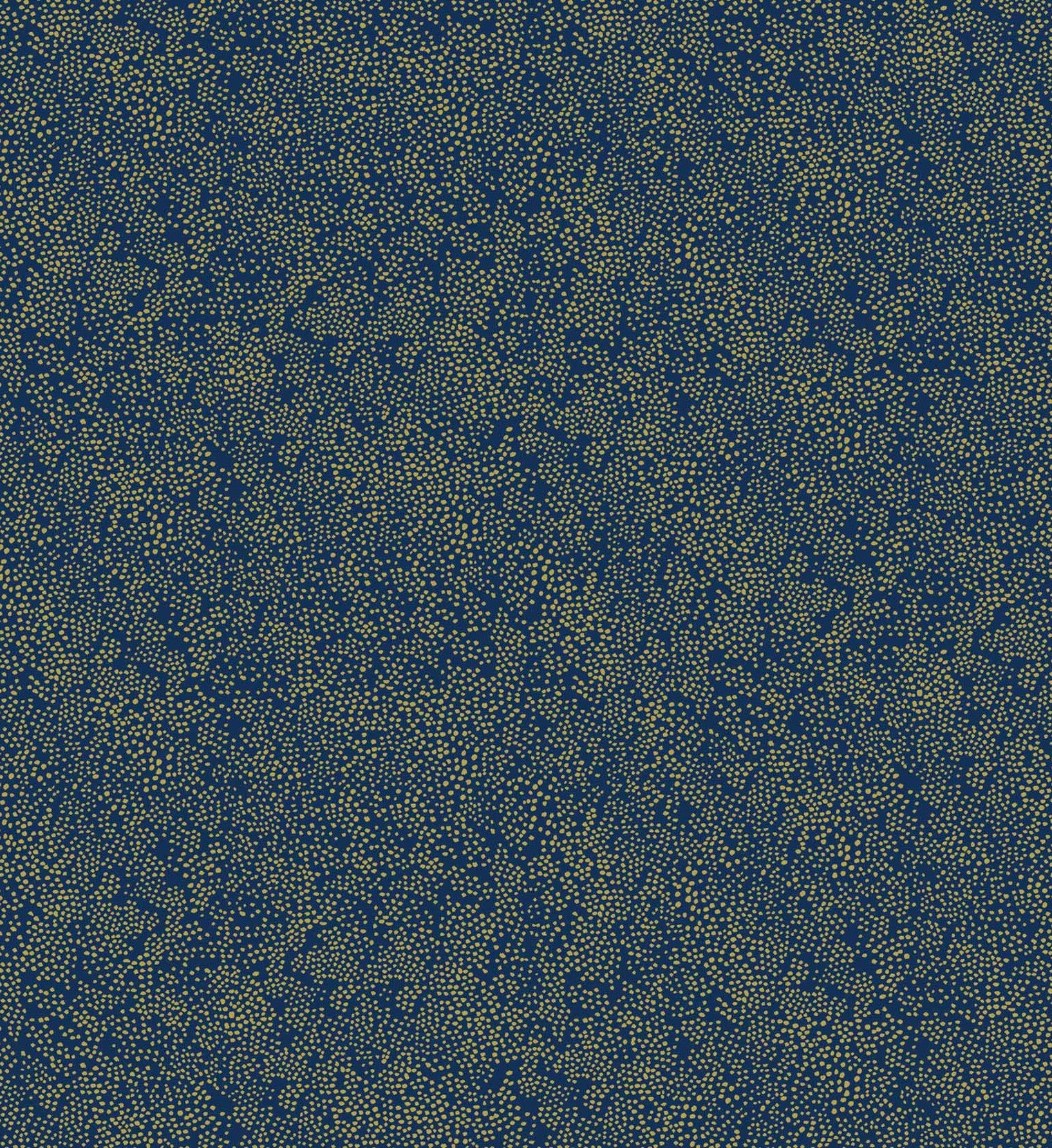  | wal011-02.jpg