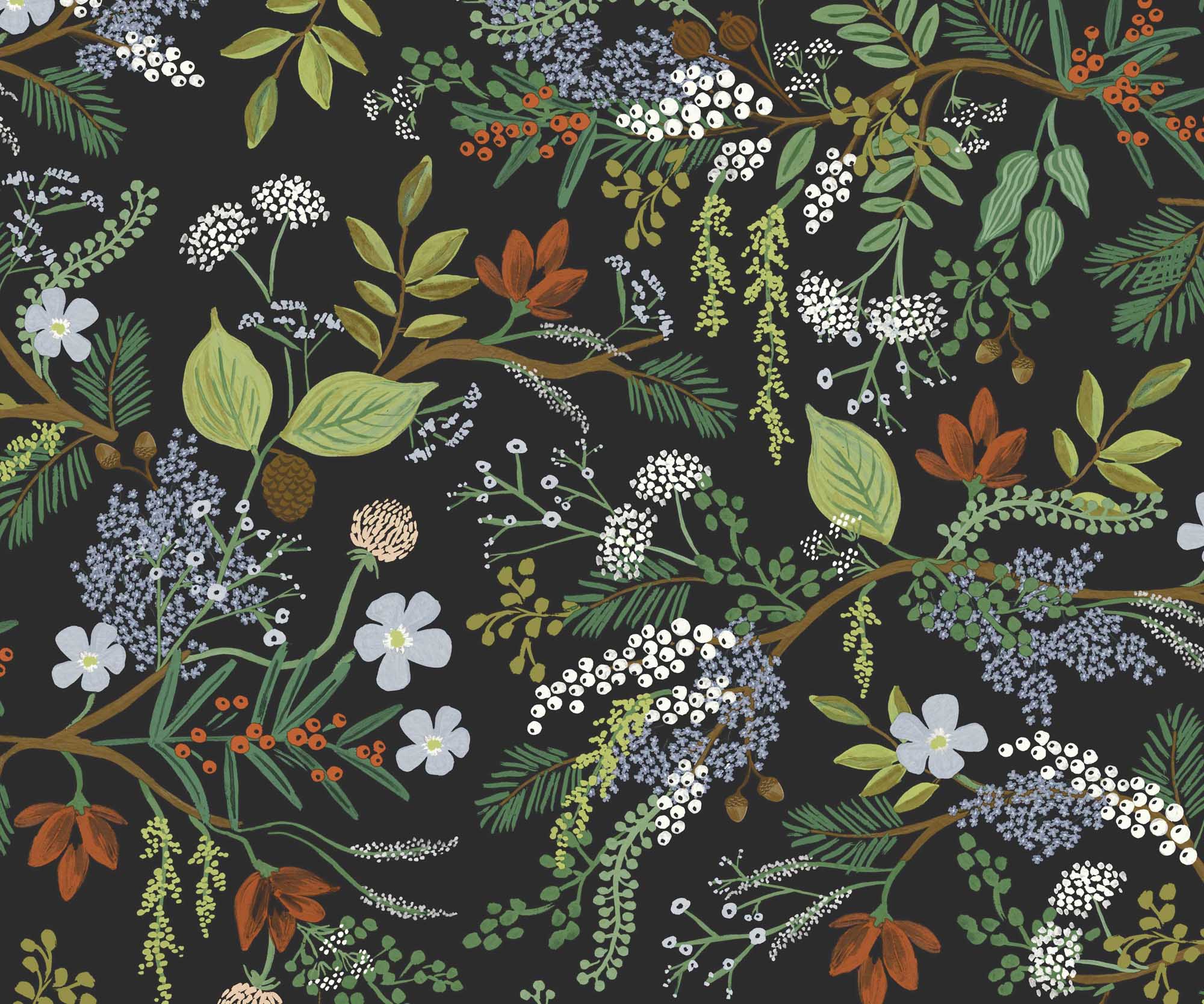  | was009-02.jpg