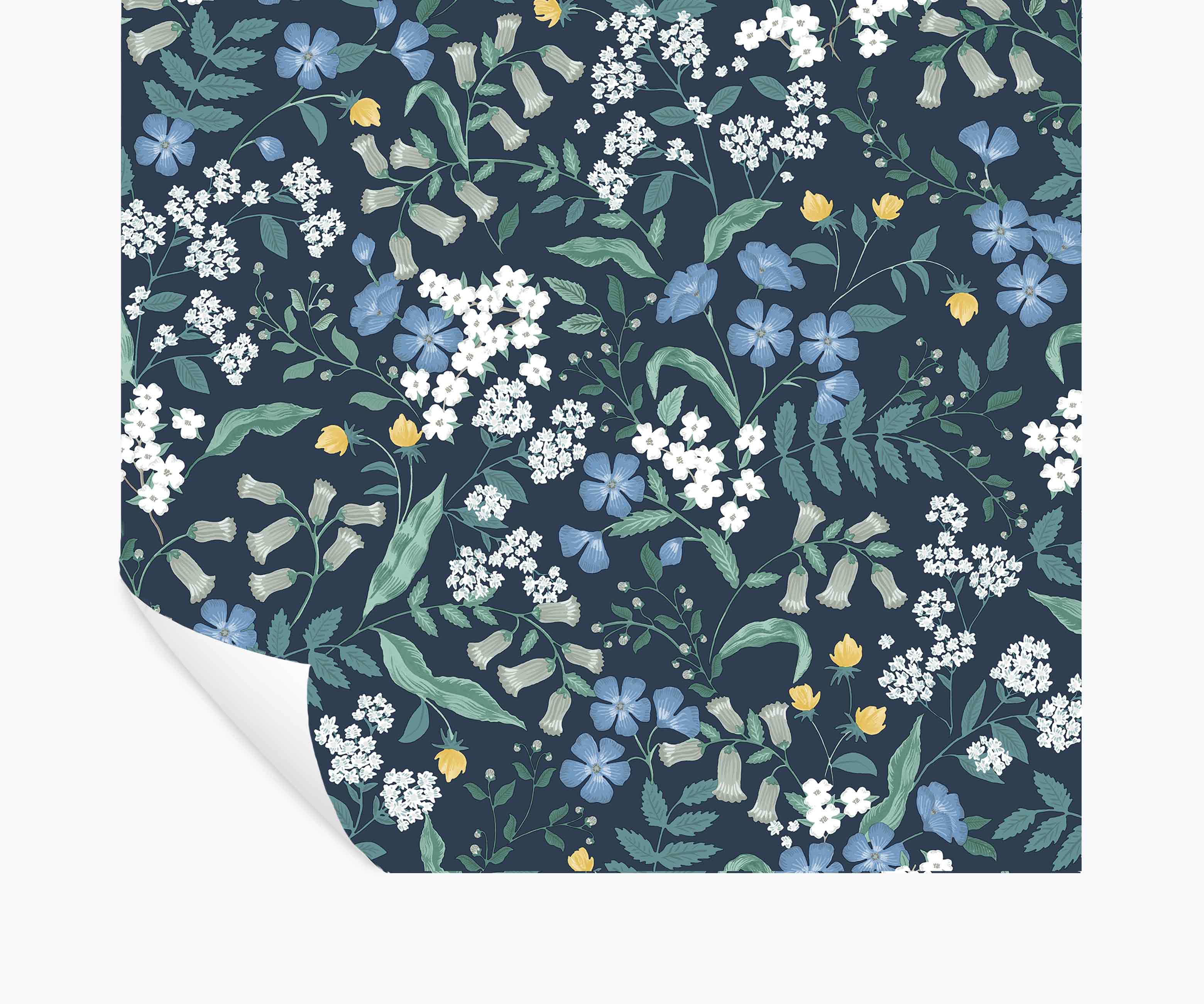  | was065-01_1_1.jpg